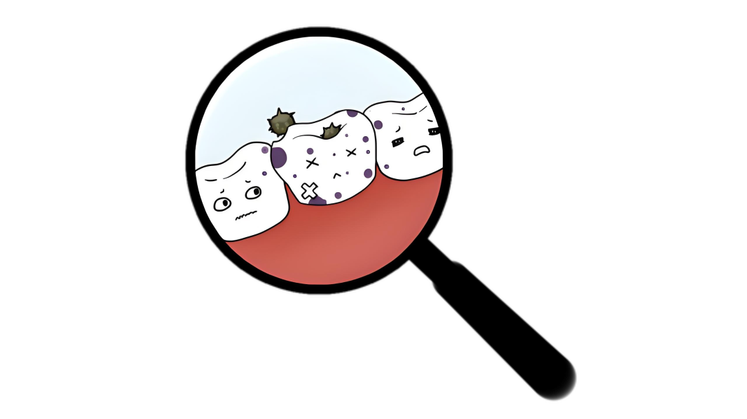11.png